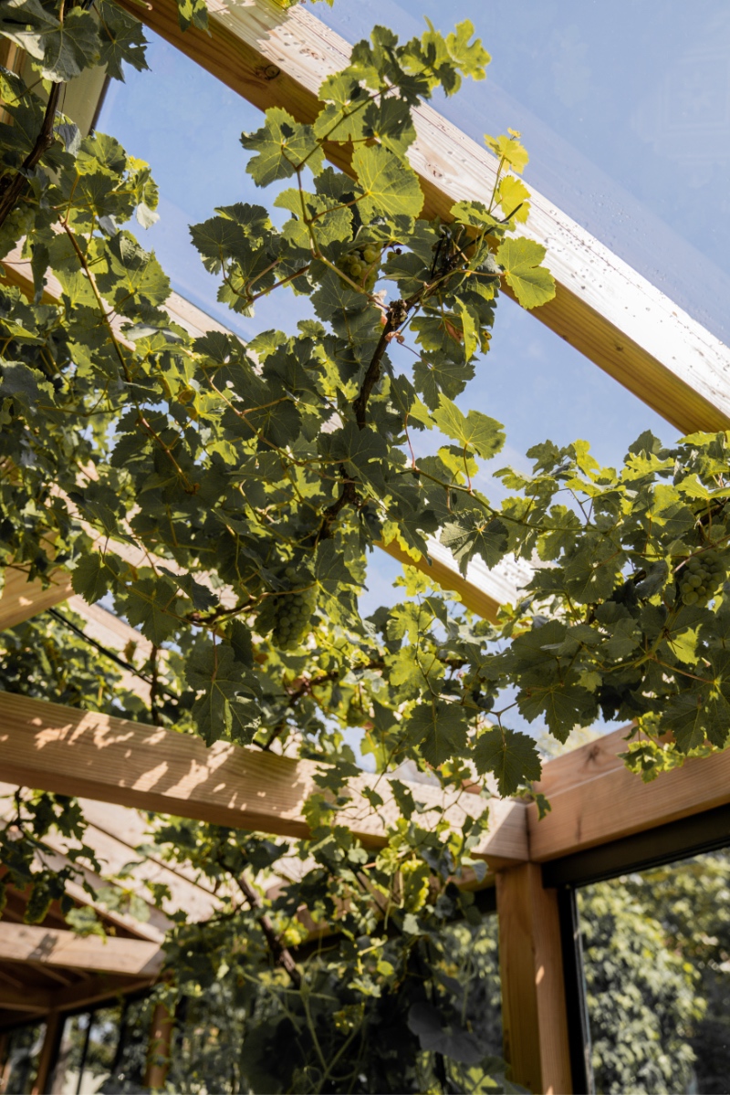 Maatwerk overkapping met binnentuin in Bemmel 13